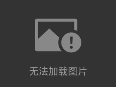 奧豪斯準微量天平
